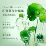 SADOER Snow Grass B5 Moisturizing, Soothing, and Repairing Six Piece Set - Image 8